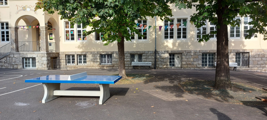Table de ping-pong bleue