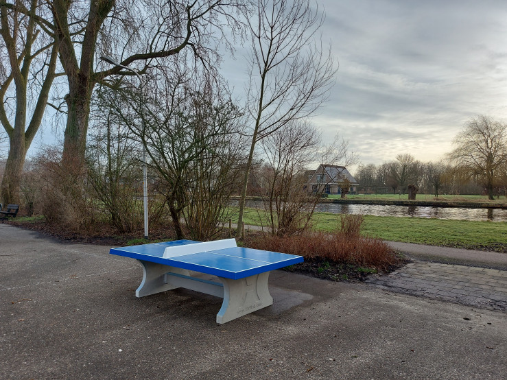 Table de ping-pong bleue