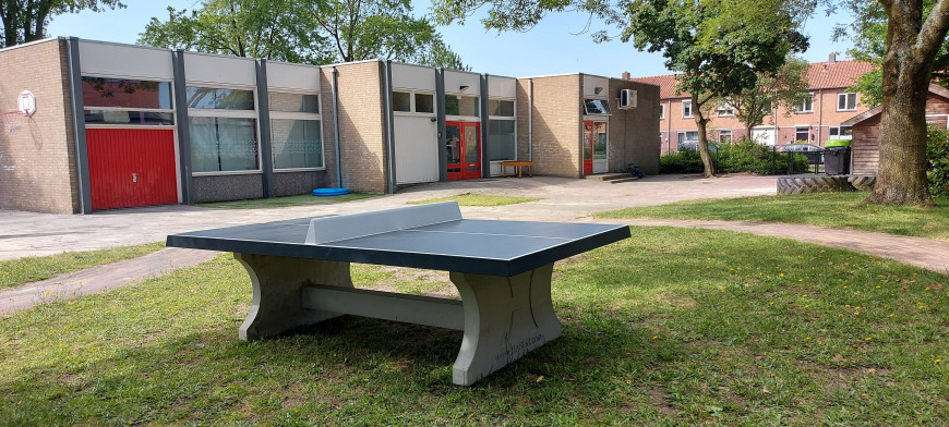 Table de ping-pong anthracite