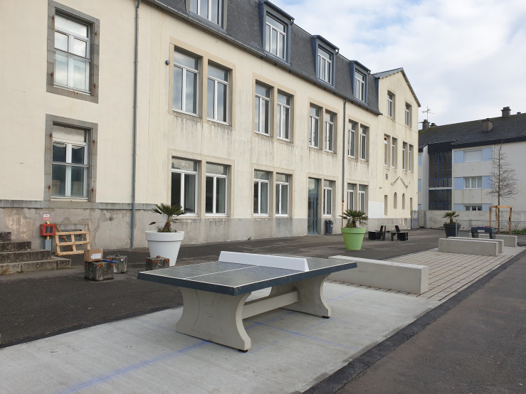 Table de ping-pong anthracite
