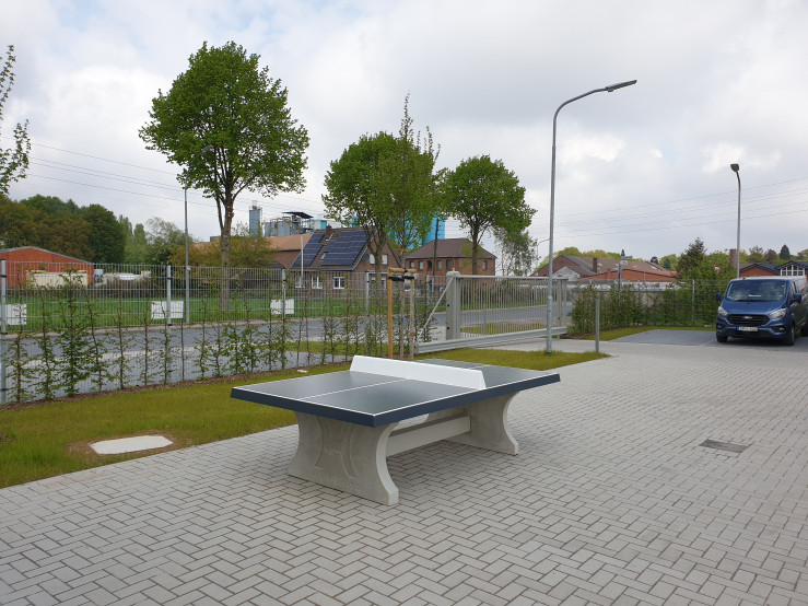 Table de ping-pong anthracite