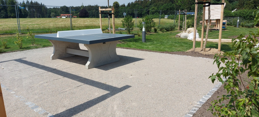 Table de ping-pong anthracite