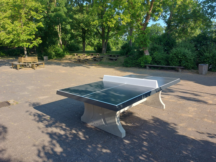 Table de ping-pong anthracite