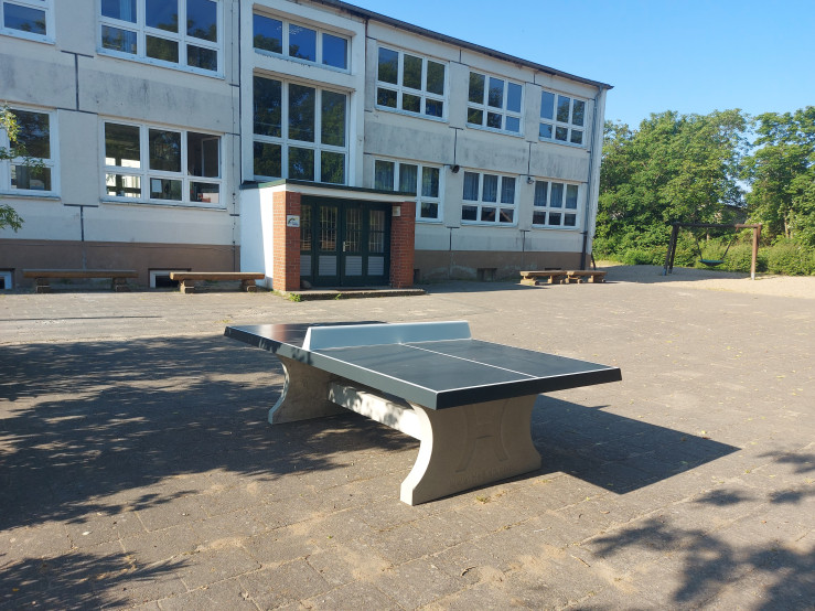Table de ping-pong anthracite