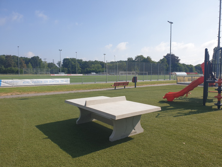 Table de ping-pong béton naturel