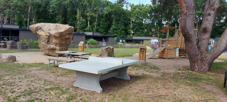 Table de ping-pong béton naturel