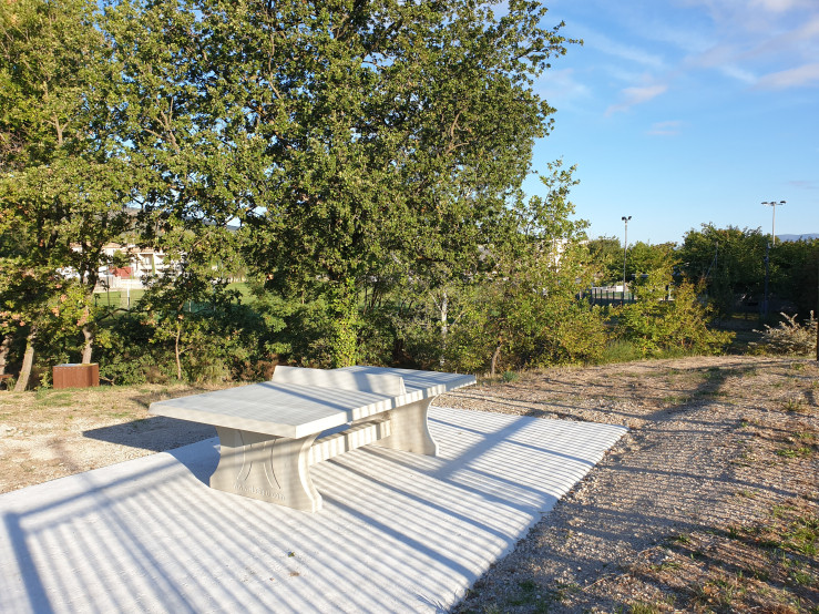 Table de ping-pong béton naturel