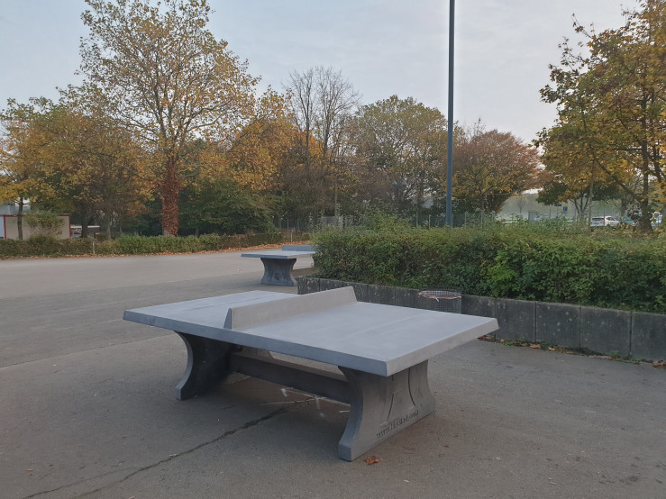 Table de ping-pong béton anthracite